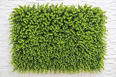 《无主之地3》终极版Switch发售 官方更正容量实为23.5G